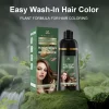 Magari 500ml Plant Fragrance Bubble Hair Dye Shampoo - Premium Herbal Color (5 Shades)