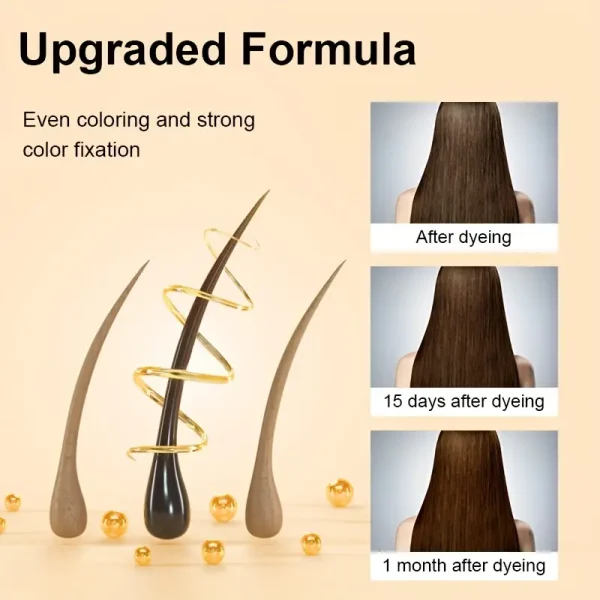 Premium 500ml Instant Hair Dye Shampoo Bottle - 4-in-1 Herbal Color & 100% Gray Coverage