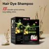 4-in-1 Instant Black Hair Dye Shampoo Sachet - 100% Gray Coverage Herbal Formula (30ml x 10 Pack)