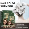 Magari Plant Fragrance Bubble Hair Dye Shampoo - Herbal Color Sachet (30ml)